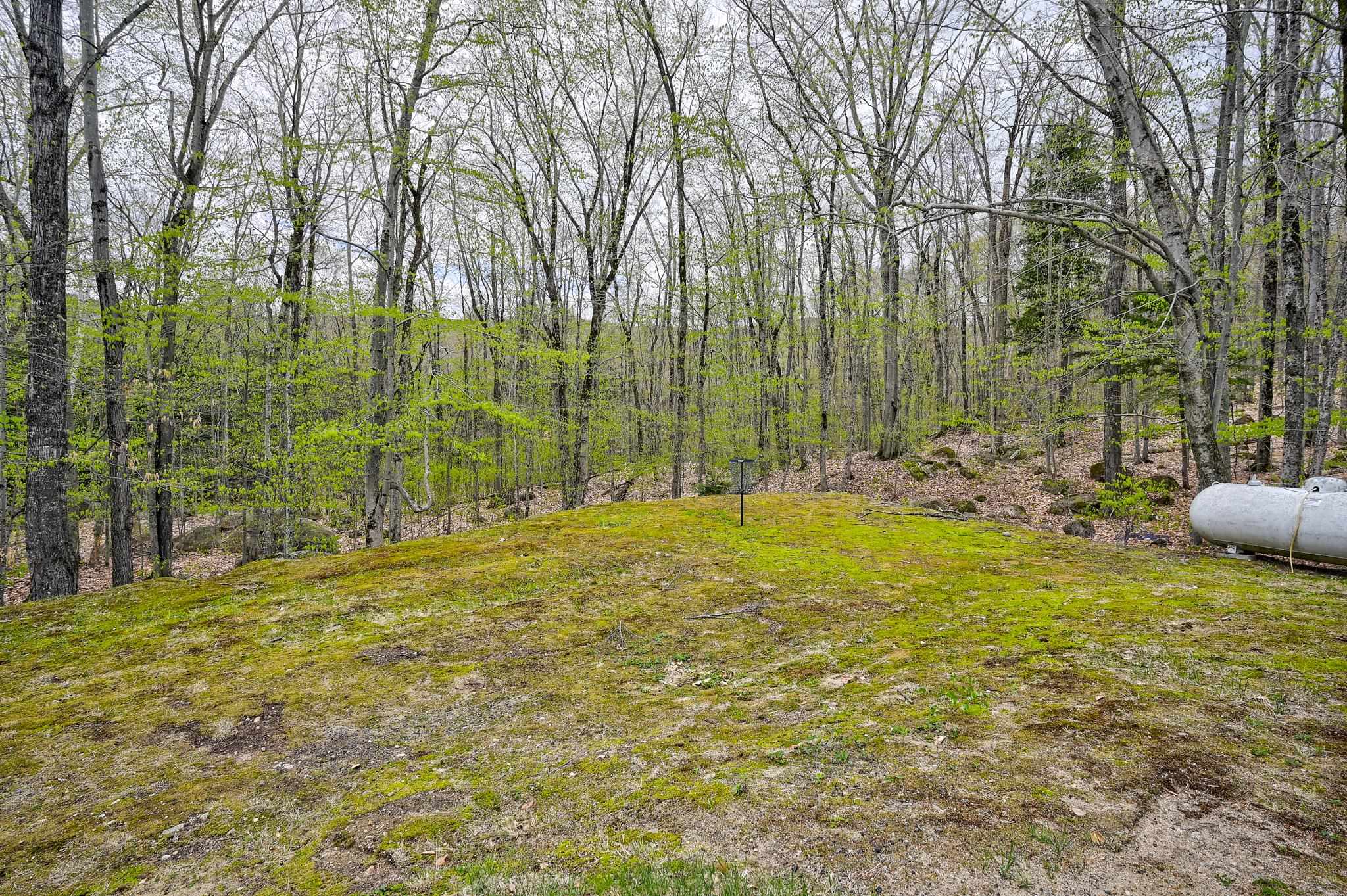 21 Littlefield Road Bartlett, NH 03838 - Photo 44 of 46 Gallery Image 44
