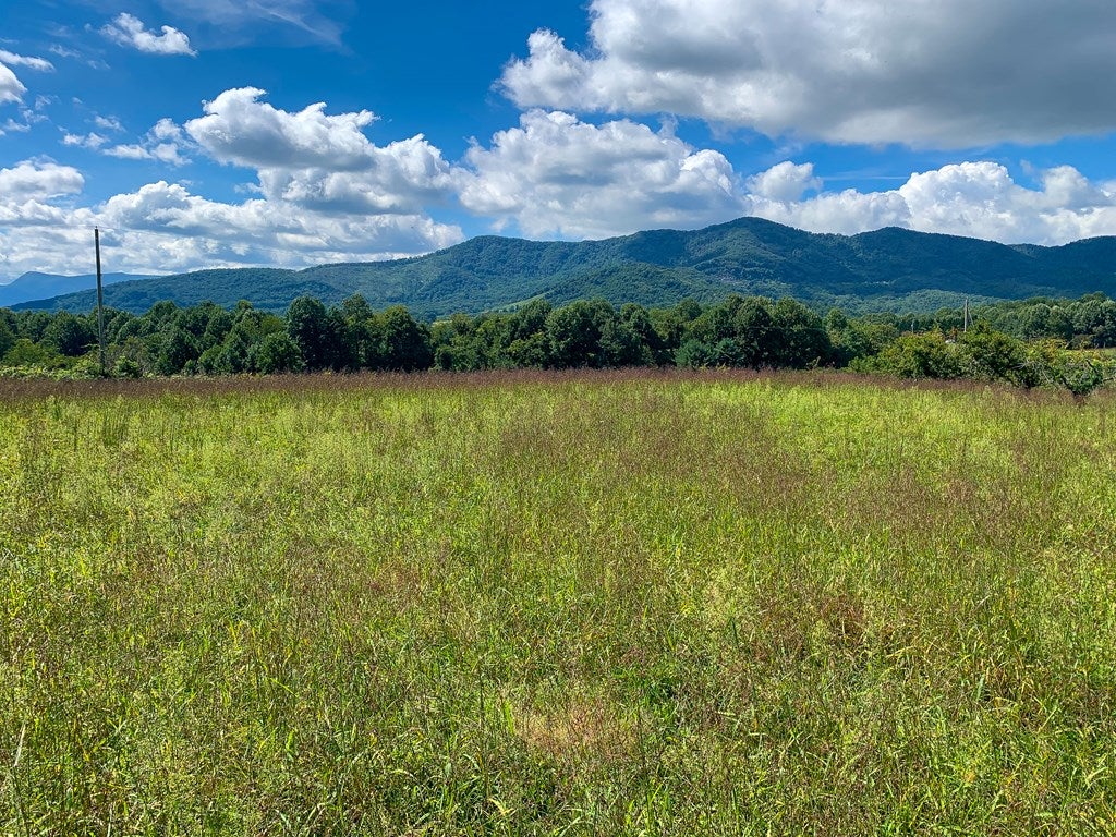 Tbd Apple Ridge Road, Unit 7 Cana, VA 24317 - Photo 6 of 27 Gallery Image 6