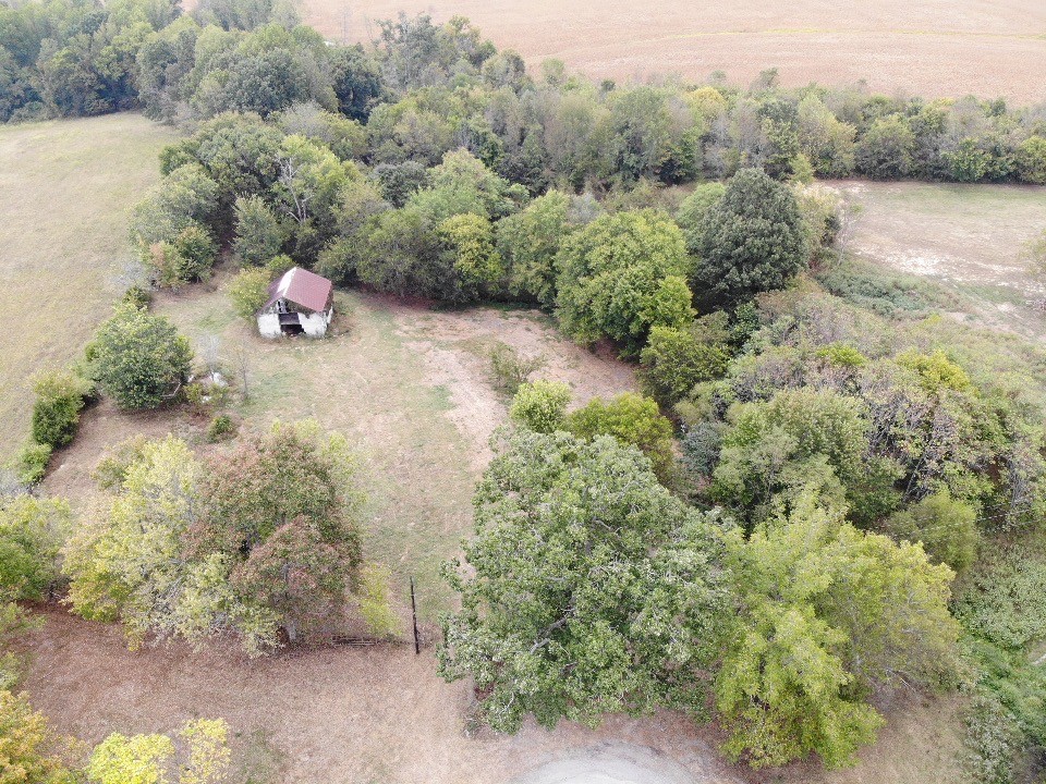 235 Doug Williams Road Portland, TN 37148 - Photo 4 of 9 an aerial view of a house with a yard