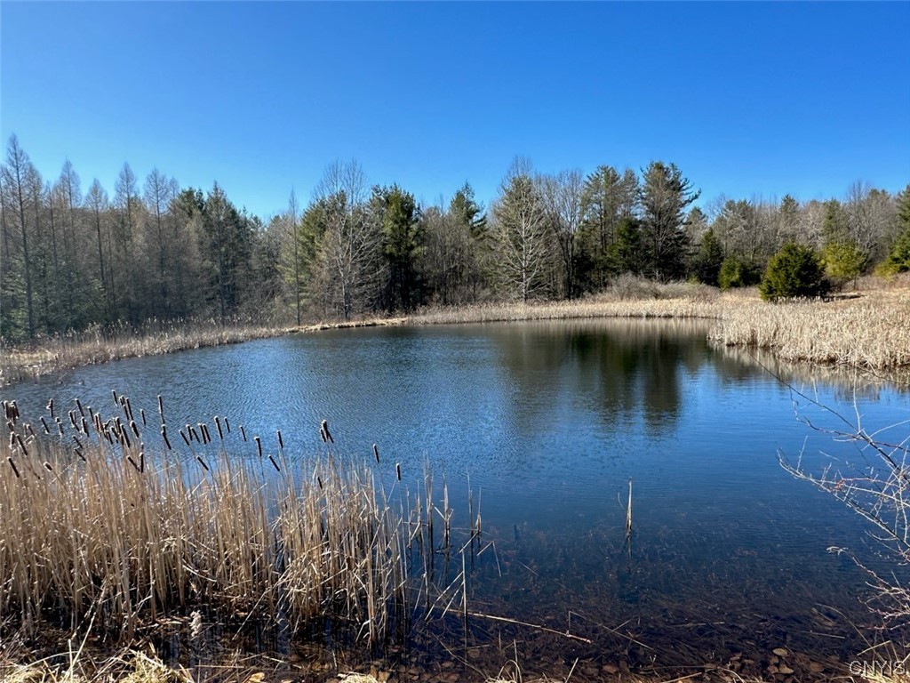 67 Monkey Run Road Fenton, NY 13833 - Photo 1 of 1 Gallery Image 1