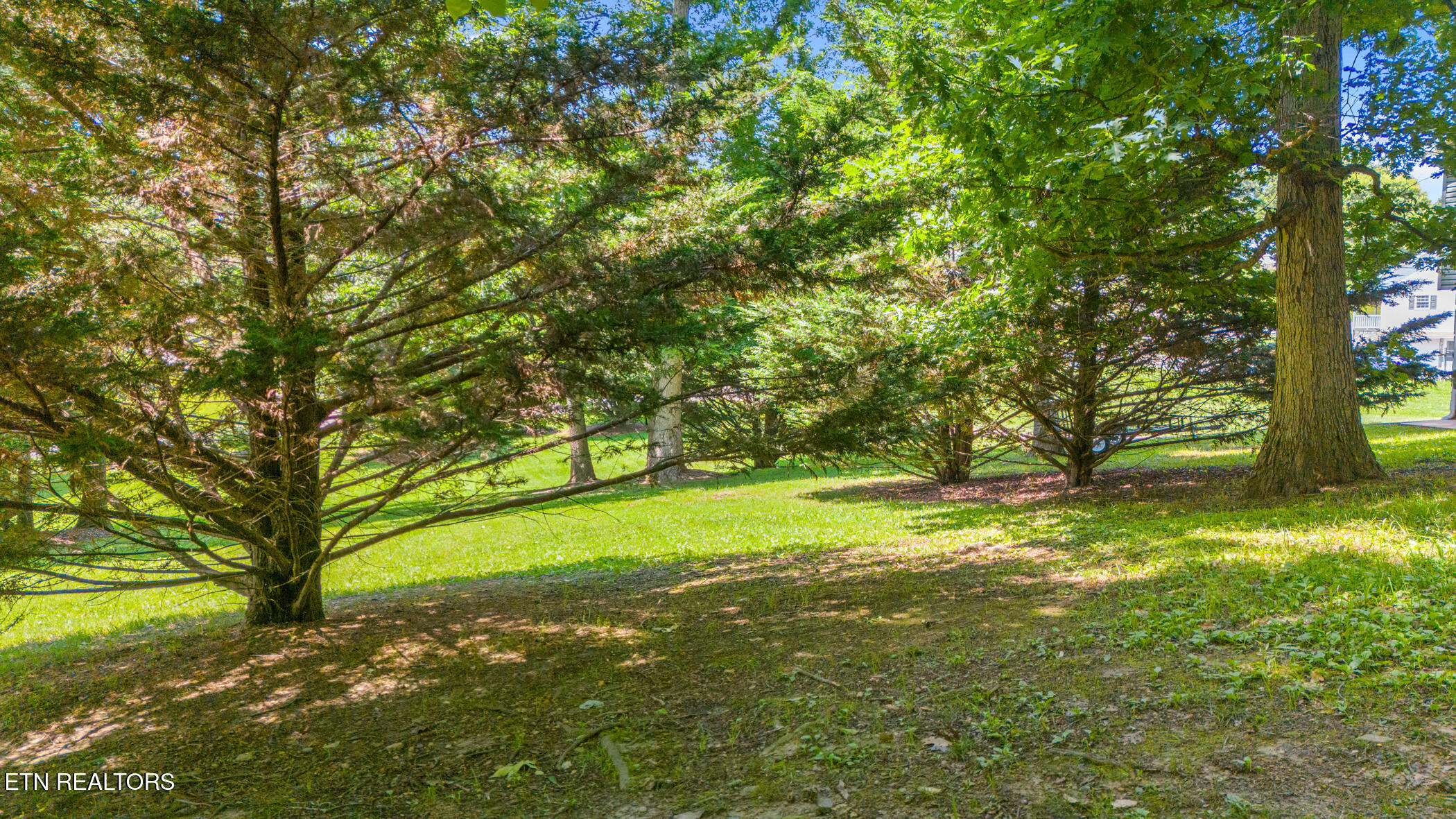 86 Whispering Ridges Road Greeneville, TN 37743 - Photo 42 of 43 dji_20250610144108_0502_d