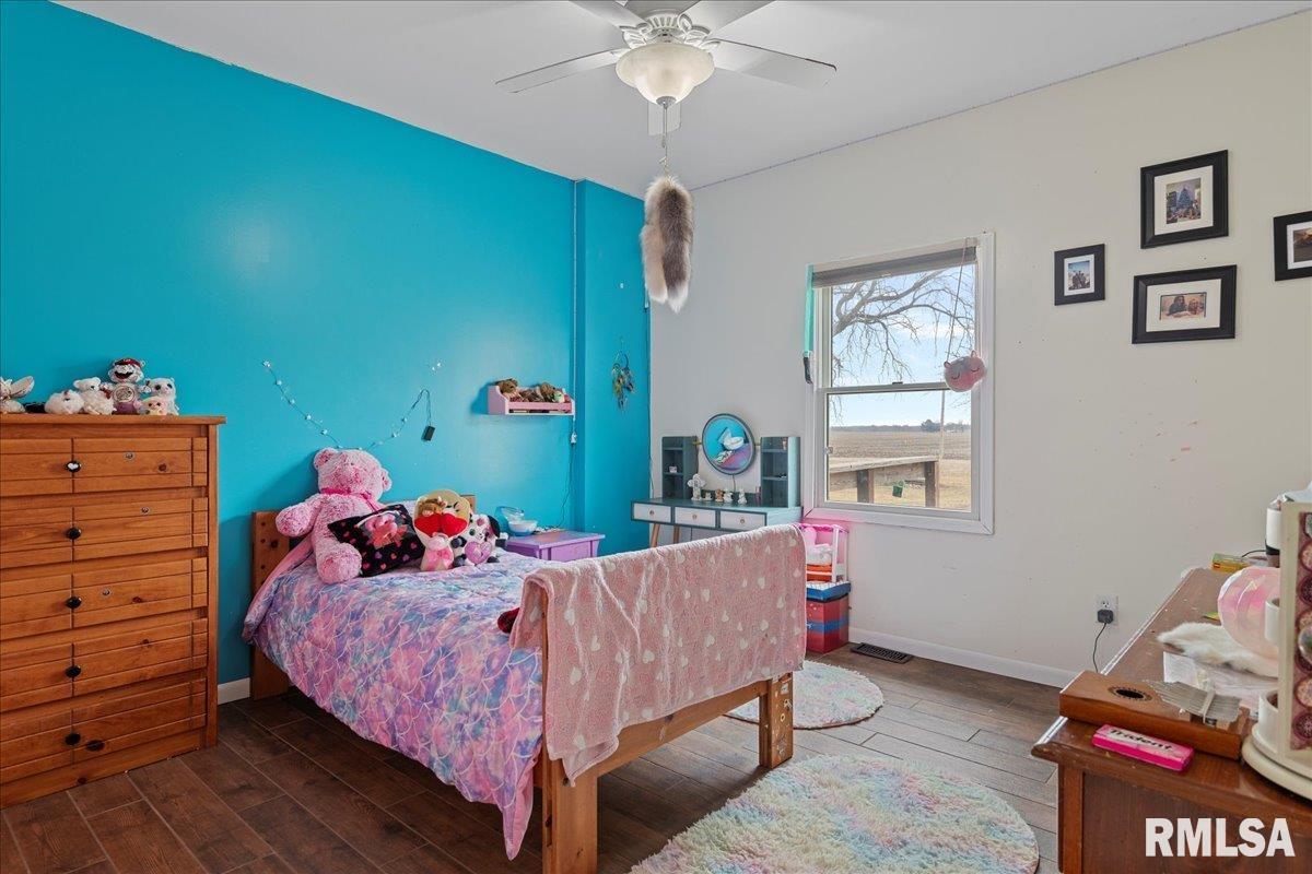 5938 Snell Road Auburn, IL 62615 - Photo 23 of 49