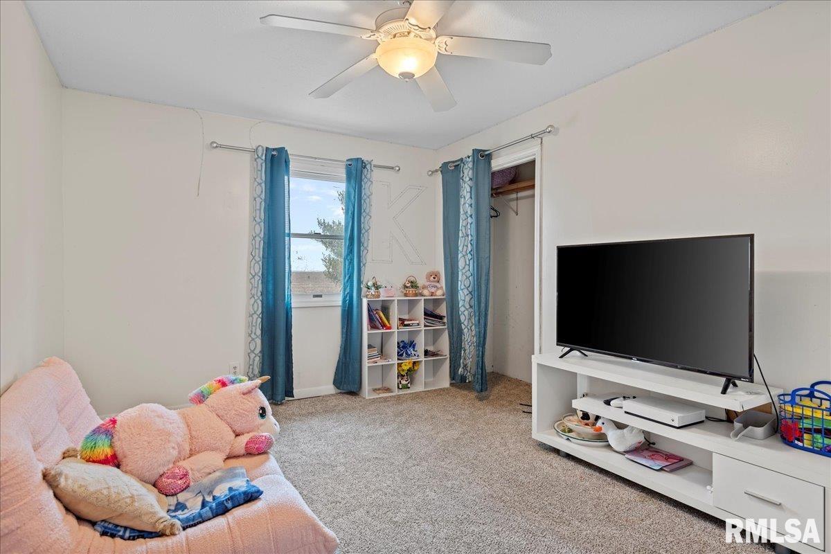 5938 Snell Road Auburn, IL 62615 - Photo 25 of 49