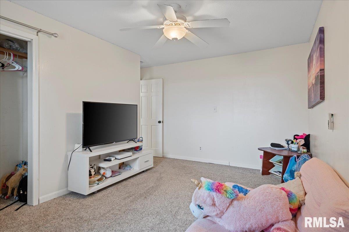 5938 Snell Road Auburn, IL 62615 - Photo 26 of 49