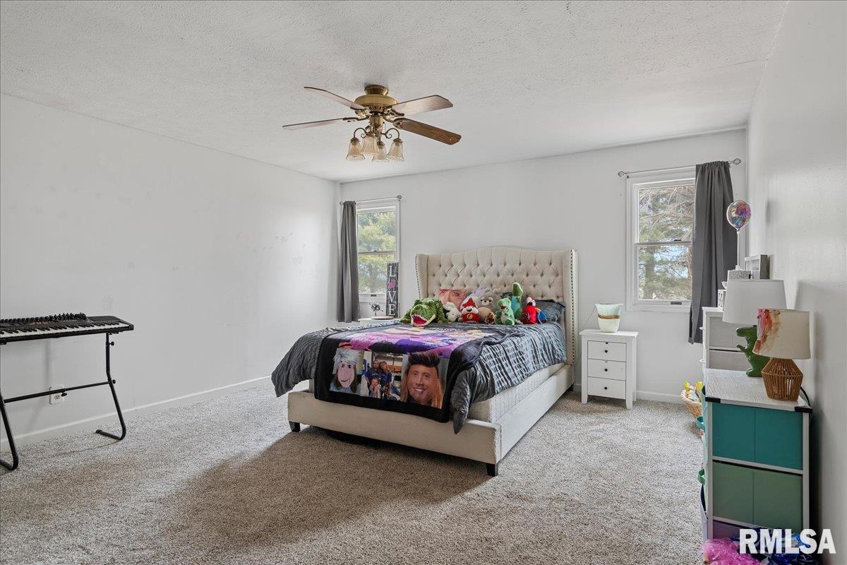 5938 Snell Road Auburn, IL 62615 - Photo 30 of 49