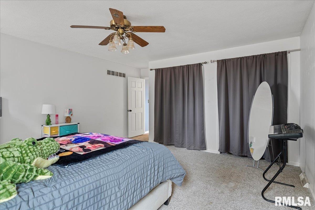 5938 Snell Road Auburn, IL 62615 - Photo 31 of 49