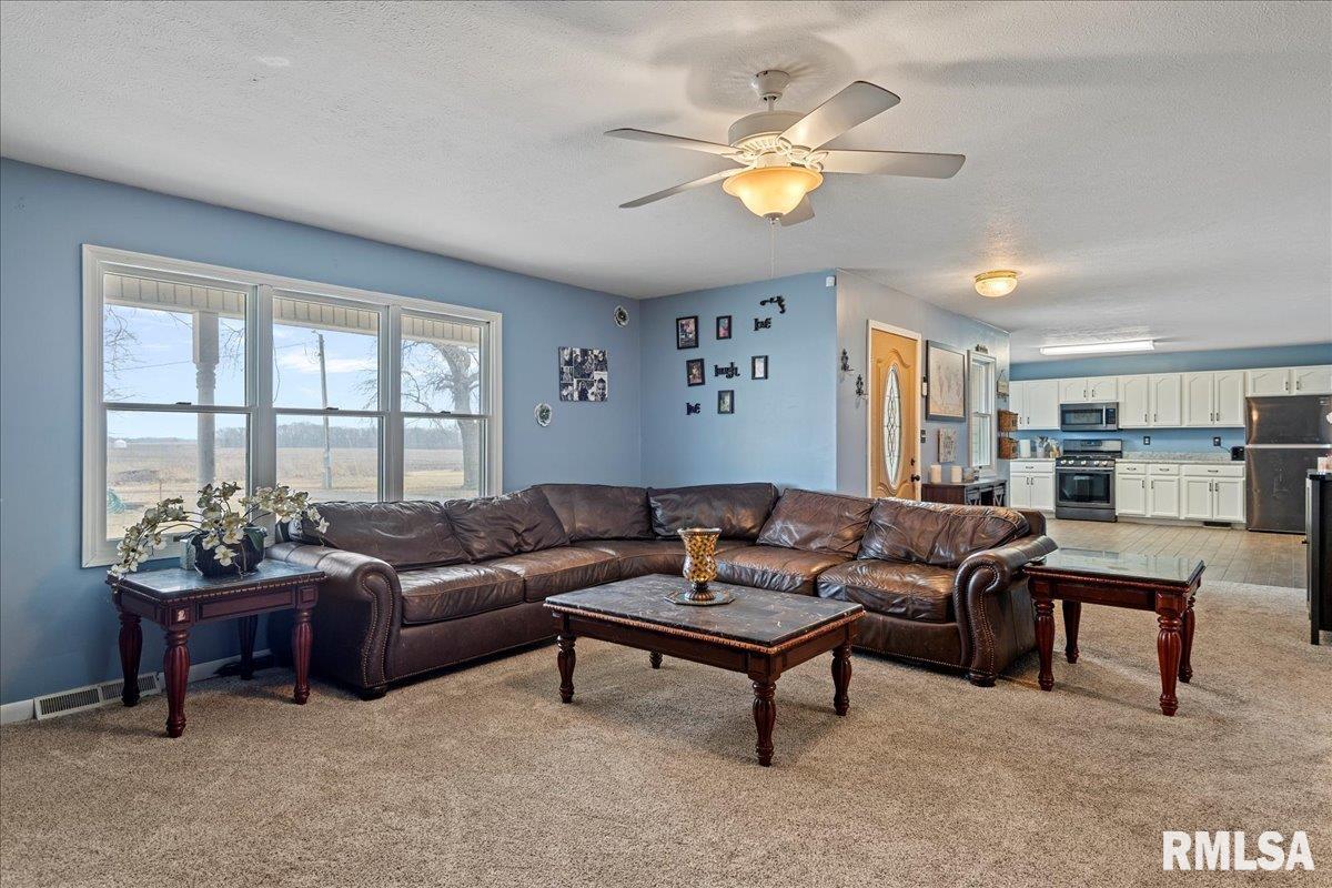 5938 Snell Road Auburn, IL 62615 - Photo 7 of 49