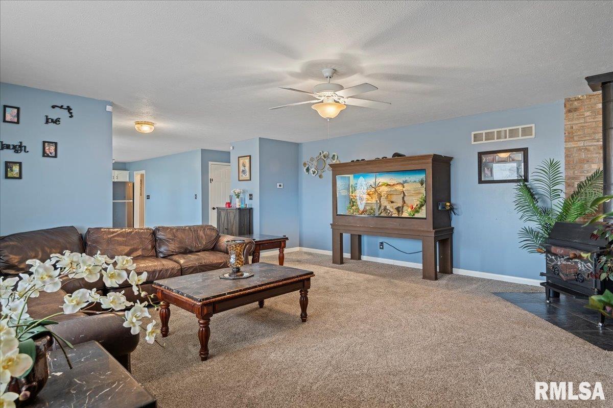 5938 Snell Road Auburn, IL 62615 - Photo 8 of 49