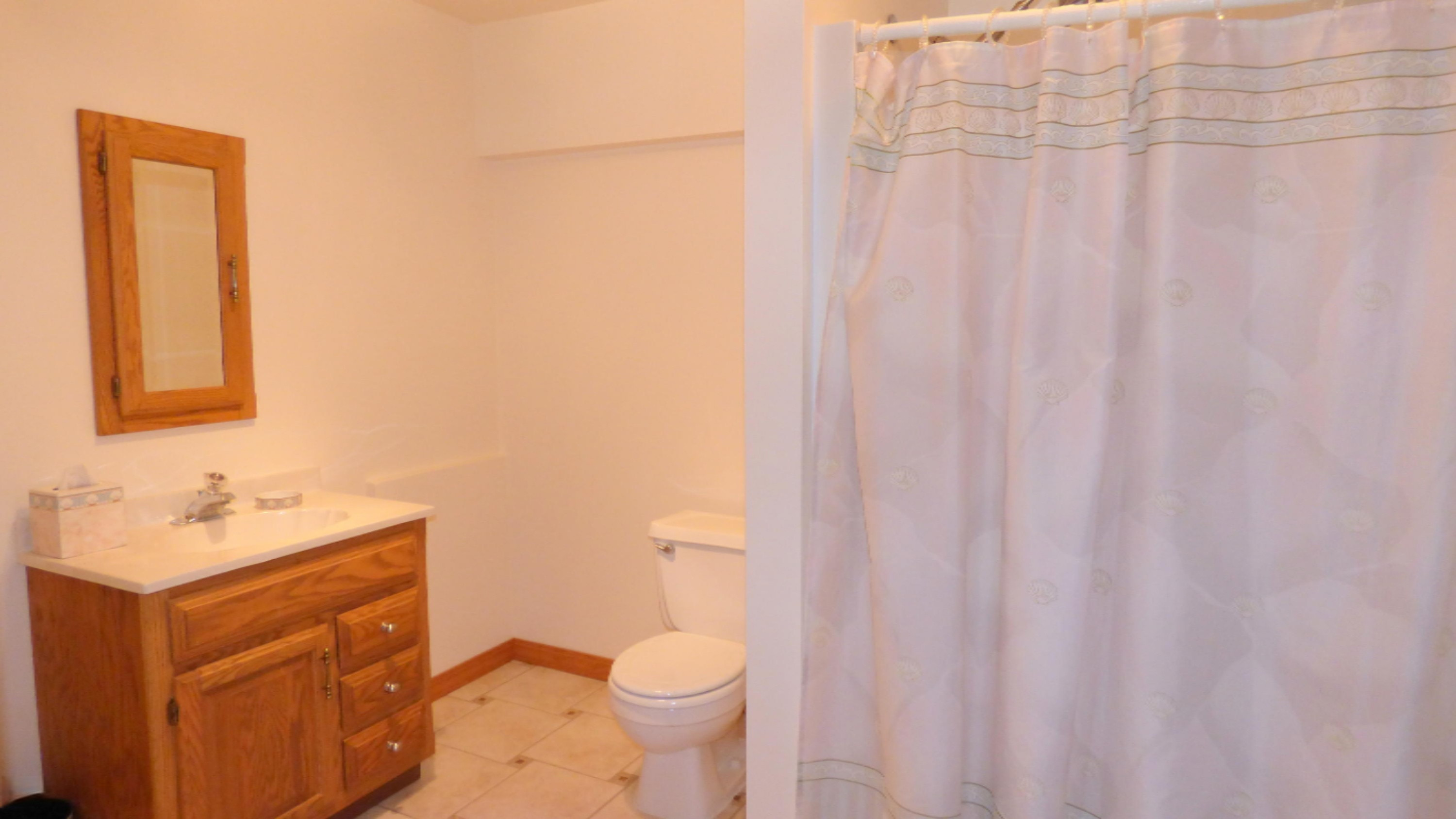 60293 Walnut Drive Decatur, MI 49045 - Photo 31 of 34 Basement Bath