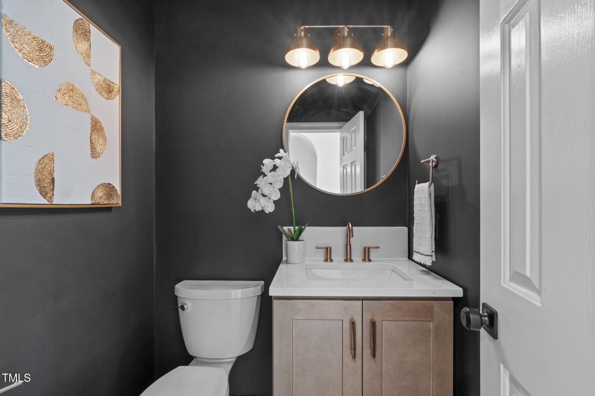 315 Barthel Drive Cary, NC 27513 - Photo 18 of 45 a bathroom with a toilet and a mirror