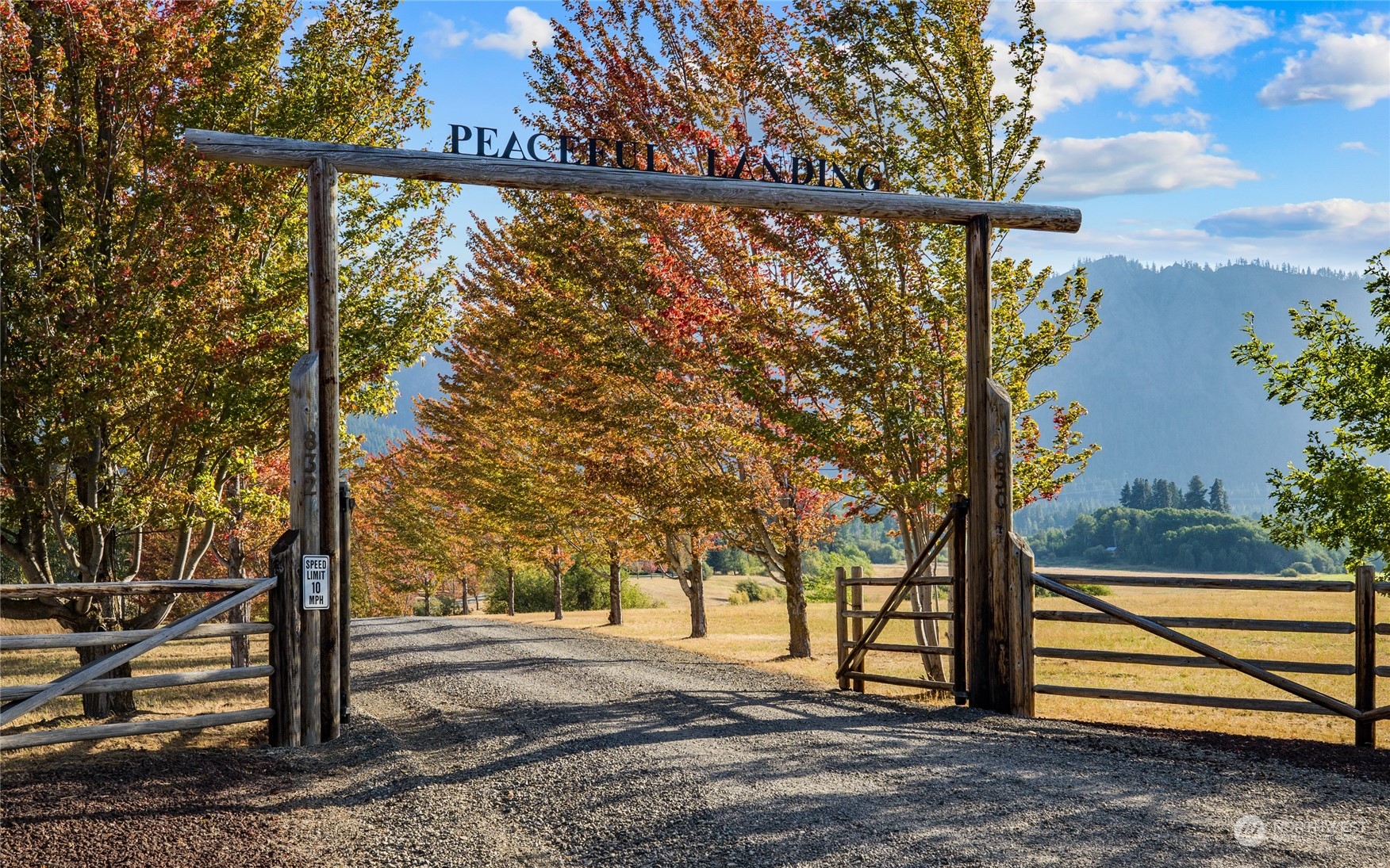 832 Pays Road Cle Elum, WA 98922 - Photo 25 of 25 a view of outdoor space with lots of green space and trees