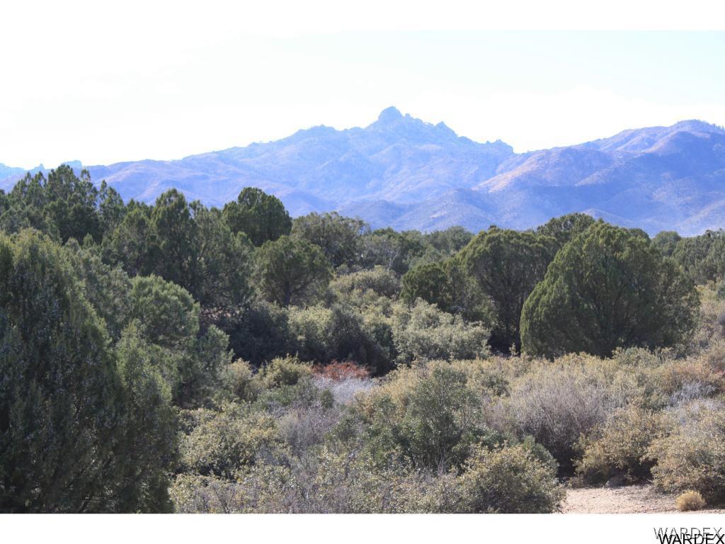 0 Mountain Shadow Road Kingman, AZ 86401 - Photo 1 of 17 Hualapai Mountain View