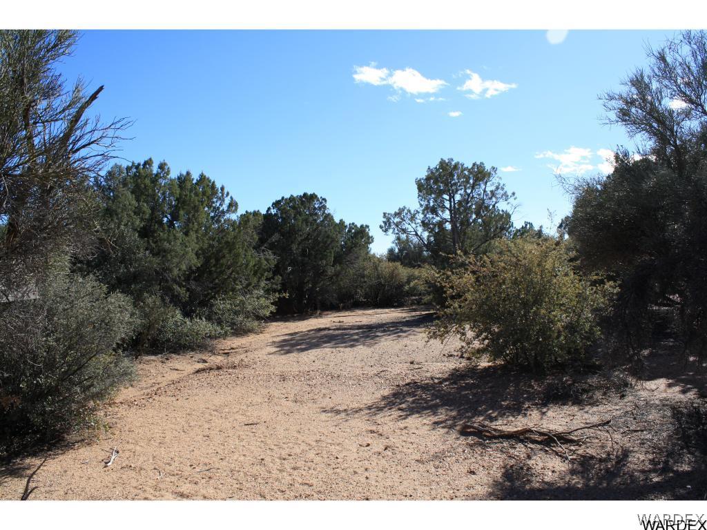 0 Mountain Shadow Road Kingman, AZ 86401 - Photo 11 of 17 Gallery Image 11