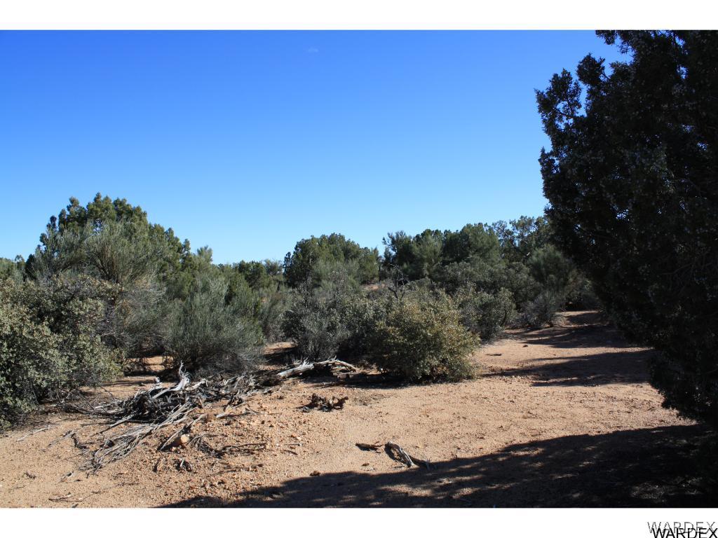 0 Mountain Shadow Road Kingman, AZ 86401 - Photo 12 of 17 Gallery Image 12