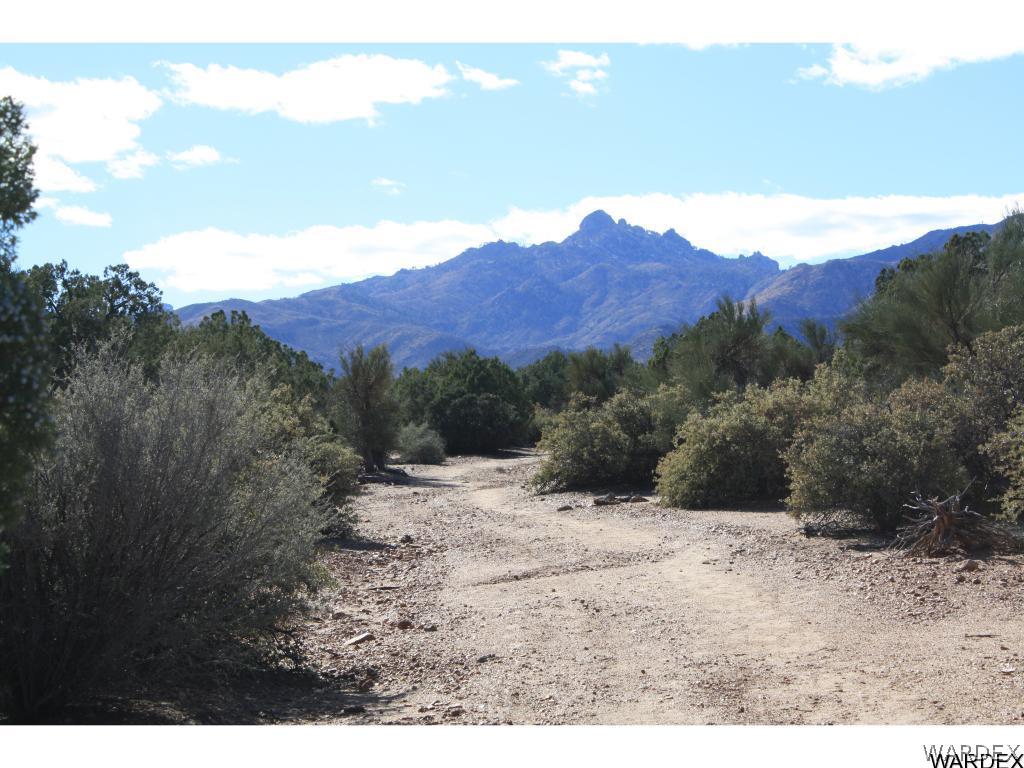 0 Mountain Shadow Road Kingman, AZ 86401 - Photo 14 of 17 Lots of Trees