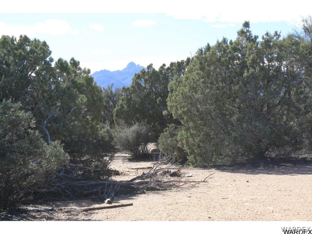 0 Mountain Shadow Road Kingman, AZ 86401 - Photo 15 of 17 Gallery Image 15