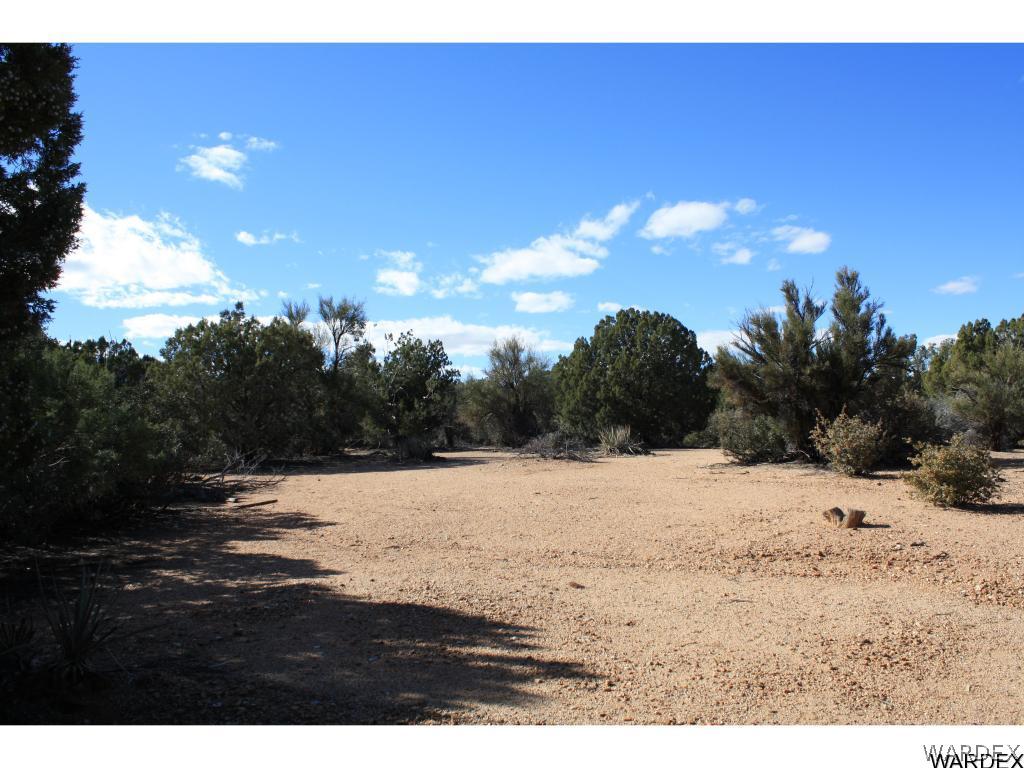 0 Mountain Shadow Road Kingman, AZ 86401 - Photo 16 of 17 Gallery Image 16