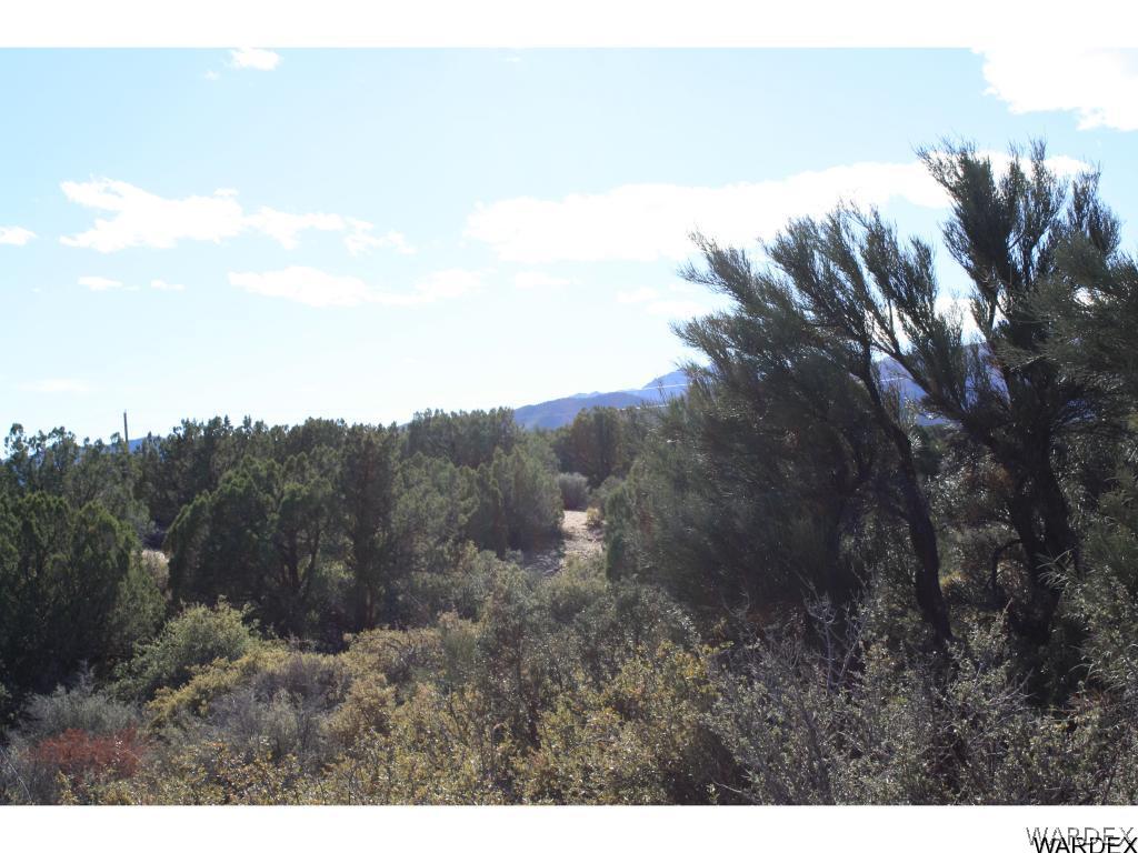0 Mountain Shadow Road Kingman, AZ 86401 - Photo 6 of 17 Gallery Image 6