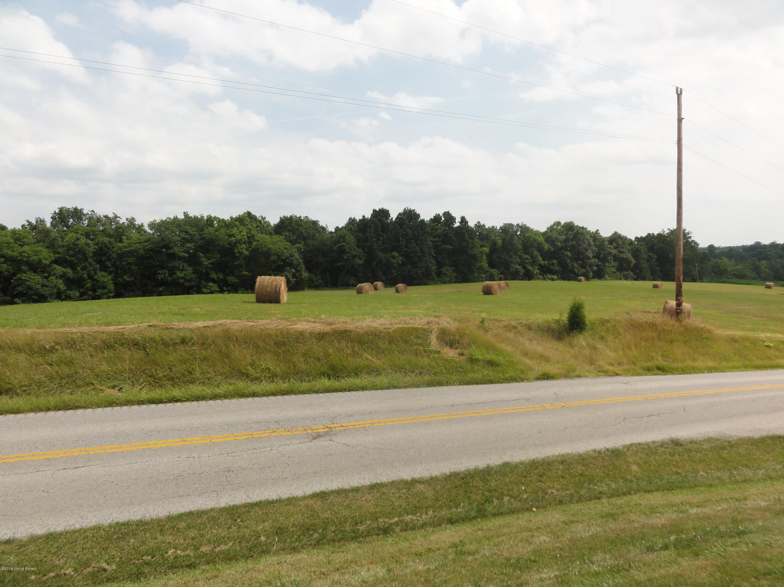 4360 South Property Road Eminence, KY 40019 - Photo 3 of 13 DSC02751