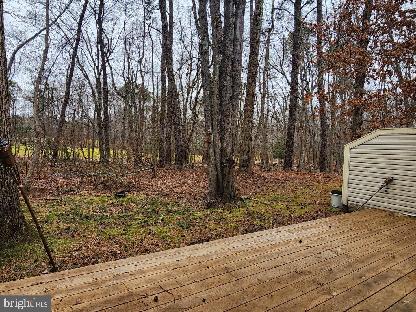 501 Berkshire Way Evesham, NJ 08053 - Photo 20 of 23