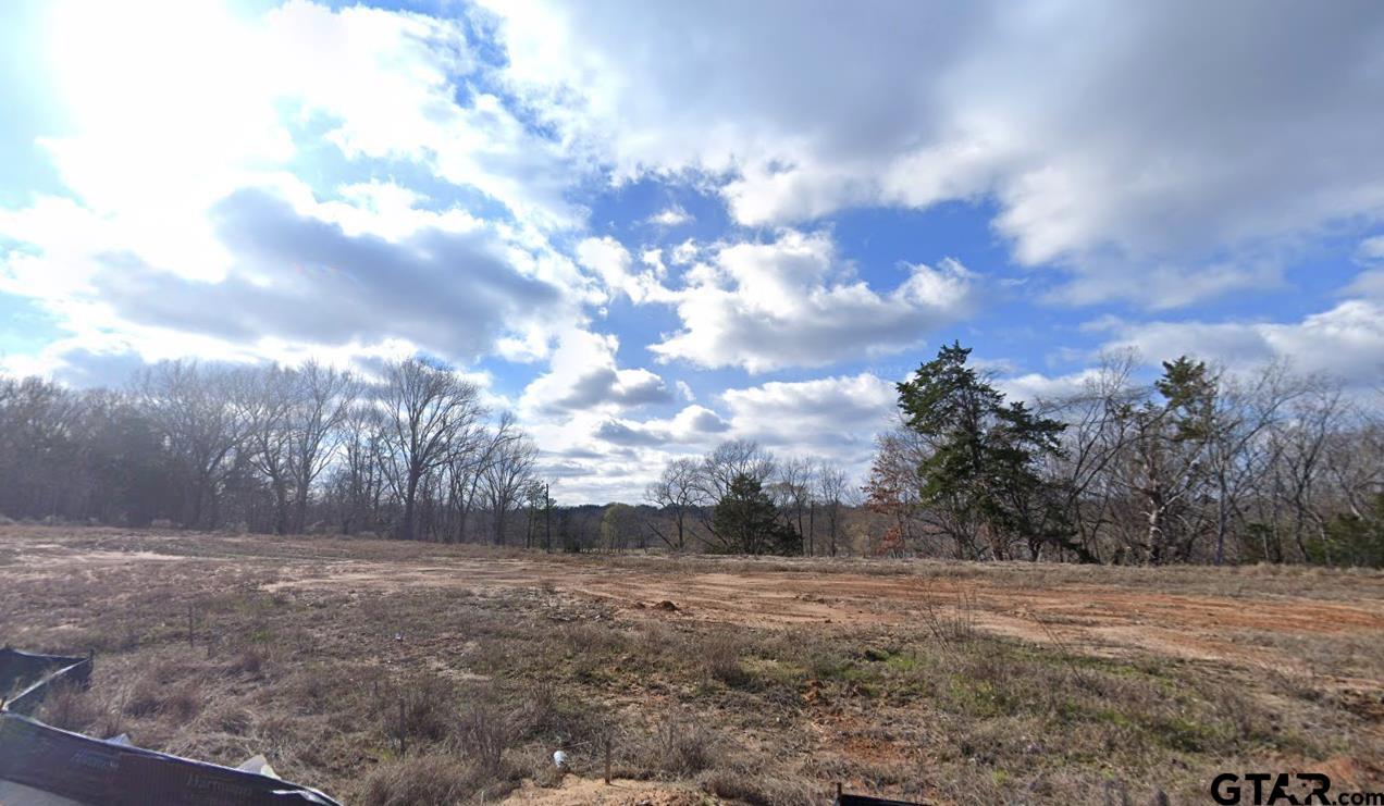 516 Preston Rdg Drive Tyler, TX 75703 - Photo 4 of 5 a view of a yard