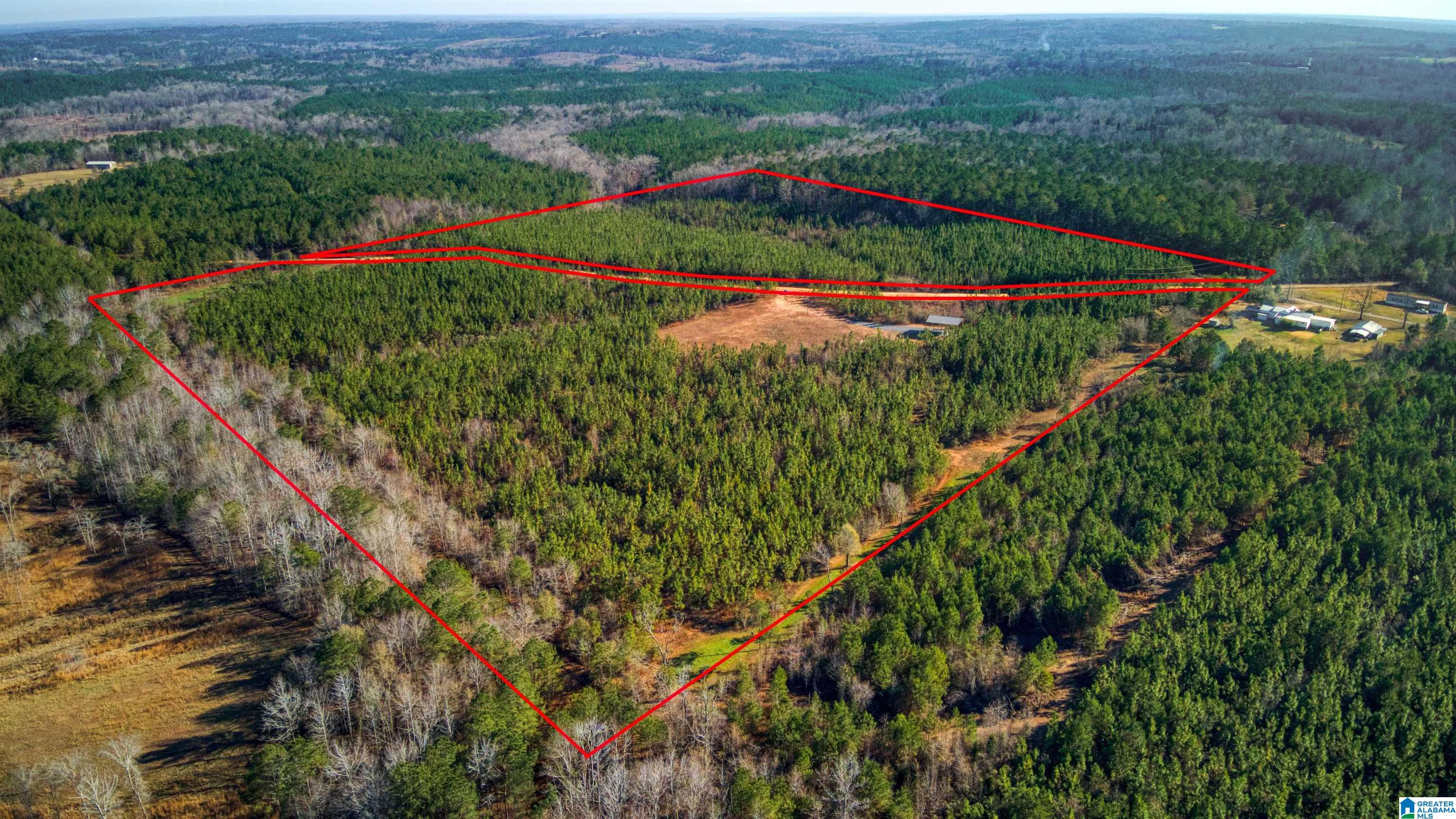 1341 County Road 528, Unit 36 Verbena, AL 36091 - Photo 2 of 19