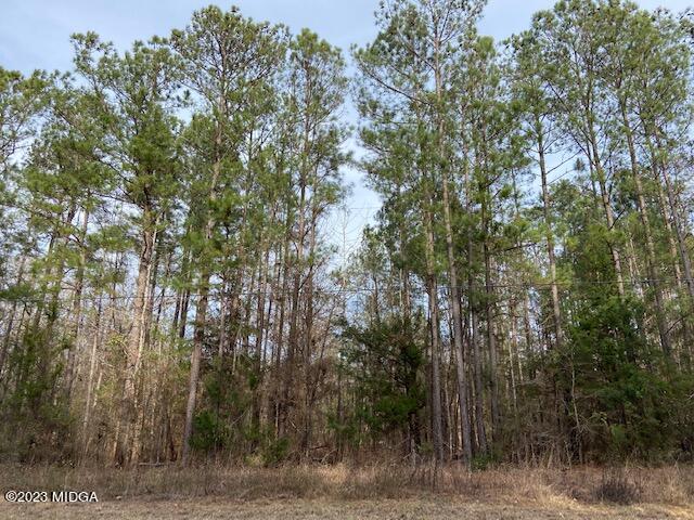 3314 Brownlee Road Forsyth, GA 31029 - Photo 1 of 8 a view of forest
