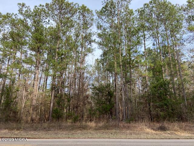 3314 Brownlee Road Forsyth, GA 31029 - Photo 2 of 8