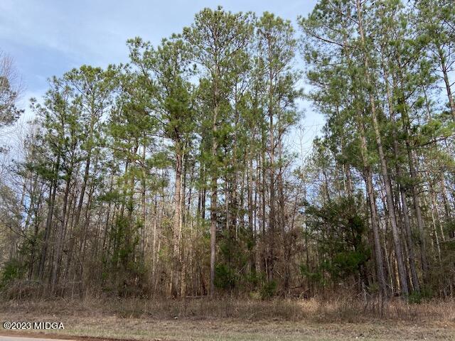 3314 Brownlee Road Forsyth, GA 31029 - Photo 3 of 8 a view of a forest