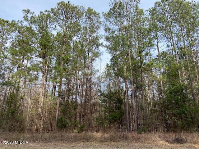 3314 Brownlee Road Forsyth, GA 31029 - Photo 4 of 8 a view of forest
