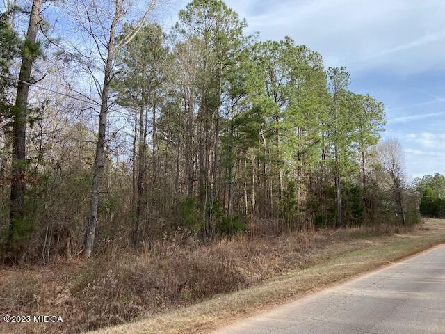 3314 Brownlee Road Forsyth, GA 31029 - Photo 5 of 8 a view of a forest with trees in front of the house