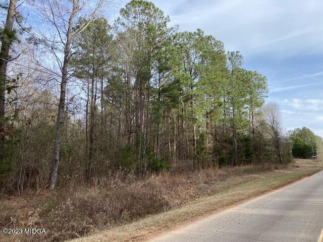 3314 Brownlee Road Forsyth, GA 31029 - Photo 6 of 8 a view of a forest filled with trees