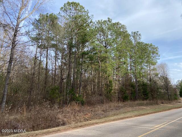 3314 Brownlee Road Forsyth, GA 31029 - Photo 8 of 8 a view of a yard with trees