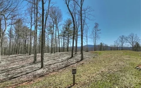 163 Ridges Of Blue Ridge Blue Ridge, GA 30513 - Photo 4 of 6 a view of a backyard