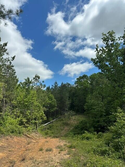 142 Cole Road Deer Lodge, TN 37726 - Photo 20 of 77 23