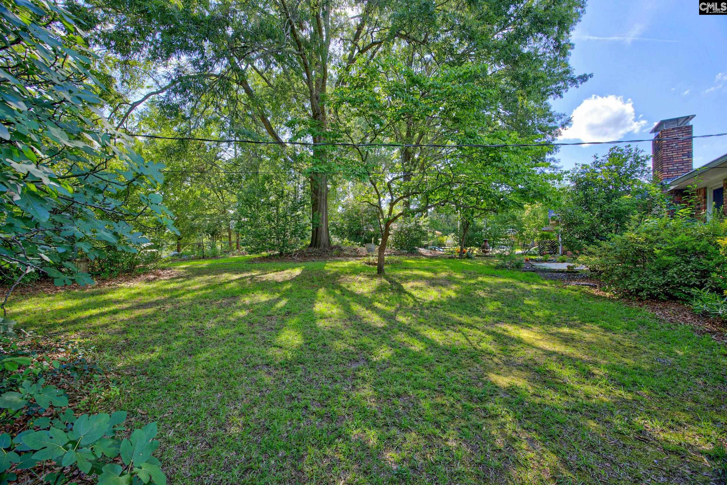 2429 Dutch Branch Road Columbia, SC 29210 - Photo 36 of 48