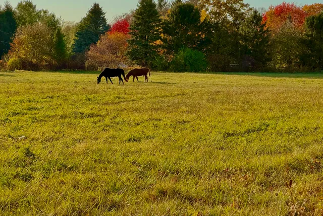 $250,000 | Lot Tbd North Grove Road, Sycamore, IL 60178