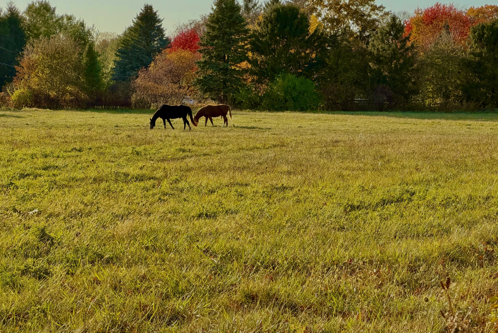 Lot Tbd North Grove Road Sycamore, IL 60178 - Photo 8 of 12 a view of swimming pool with an outdoor space
