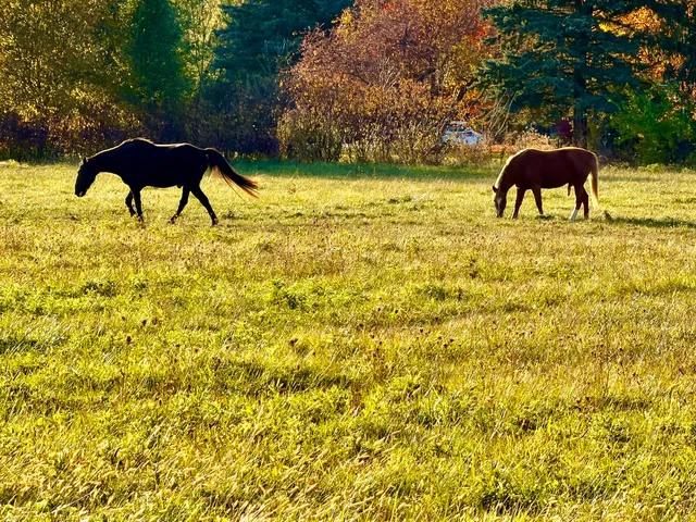$250,000 | Lot Tbd North Grove Road, Sycamore, IL 60178