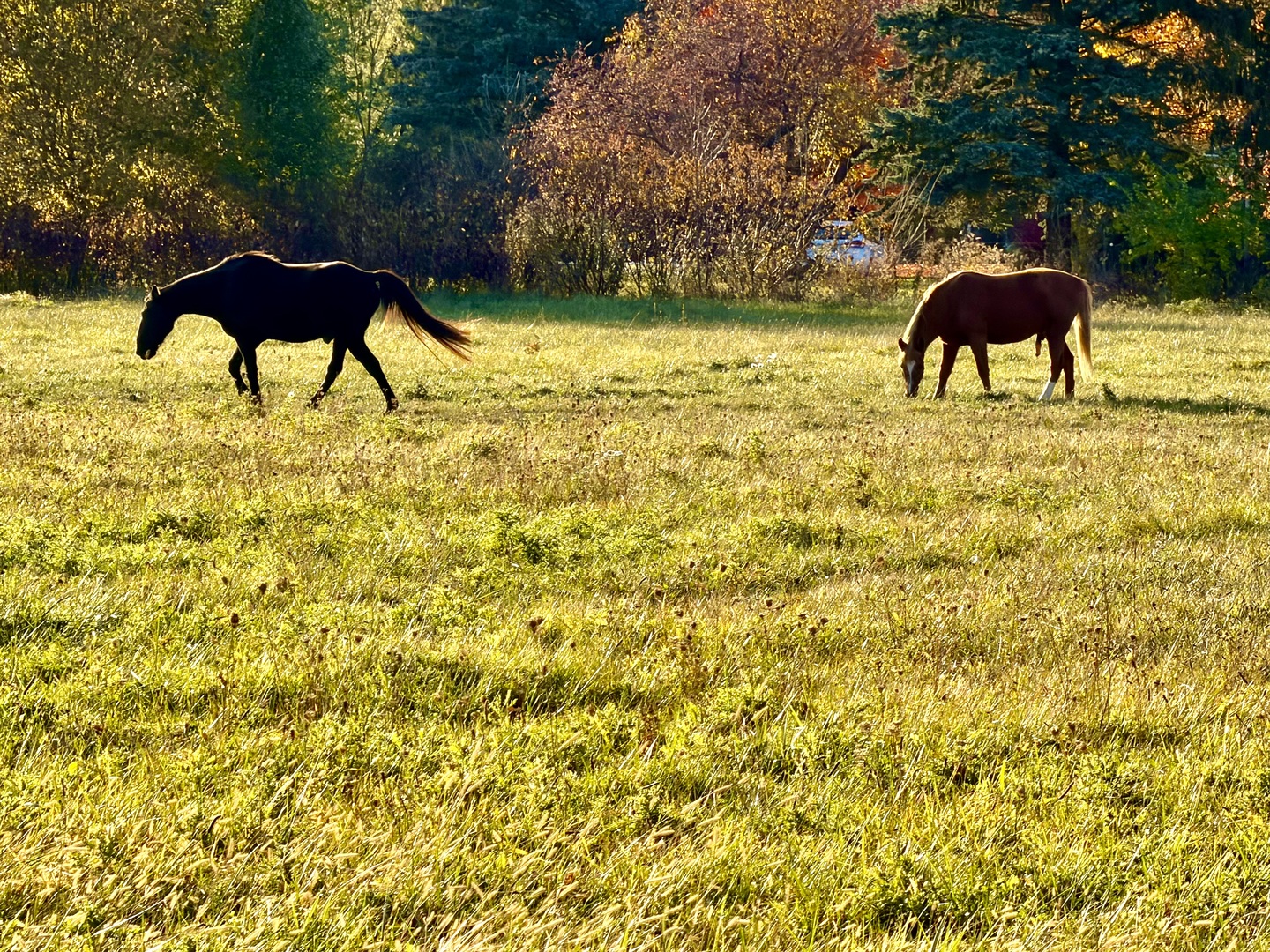 Lot Tbd North Grove Road Sycamore, IL 60178 - Photo 9 of 12 a view of swimming pool with a yard