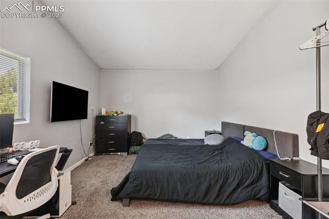 609 Wheat Field Road Fountain, CO 80817 - Photo 16 of 29 Bedroom with carpet and a desk