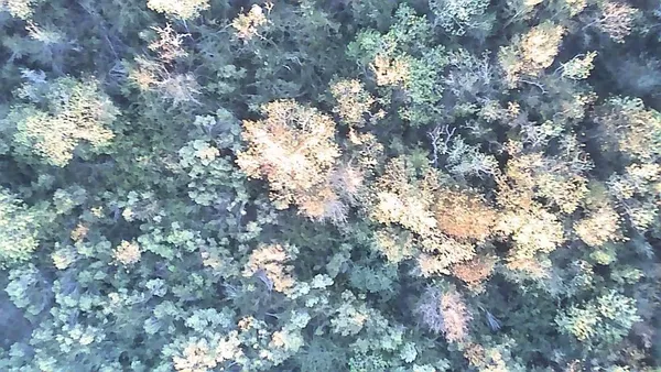 $425,000 | 0 Buffalo Speedway, Houston, TX 77045