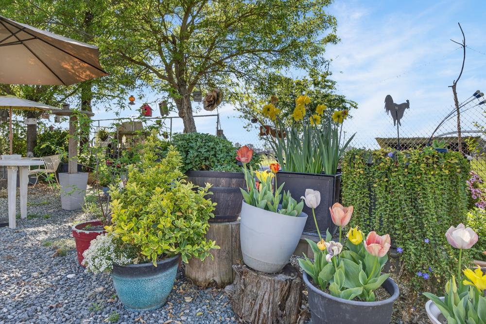 13512 Alta Mesa Road Galt, CA 95632 - Photo 24 of 99