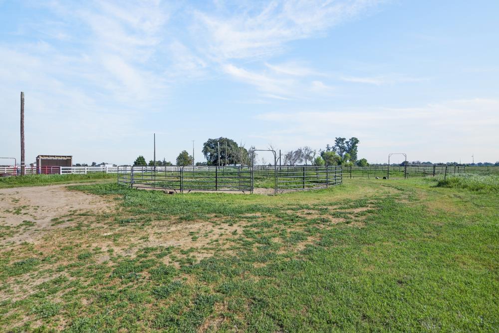 13512 Alta Mesa Road Galt, CA 95632 - Photo 71 of 99 a view of a grassy field with trees