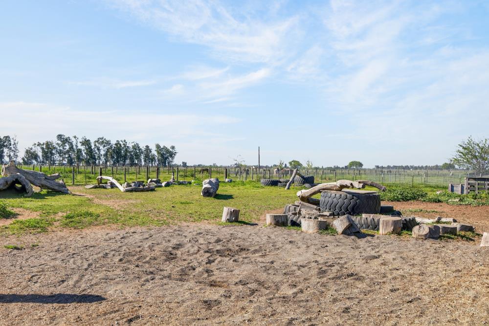 13512 Alta Mesa Road Galt, CA 95632 - Photo 79 of 99 Goat pen