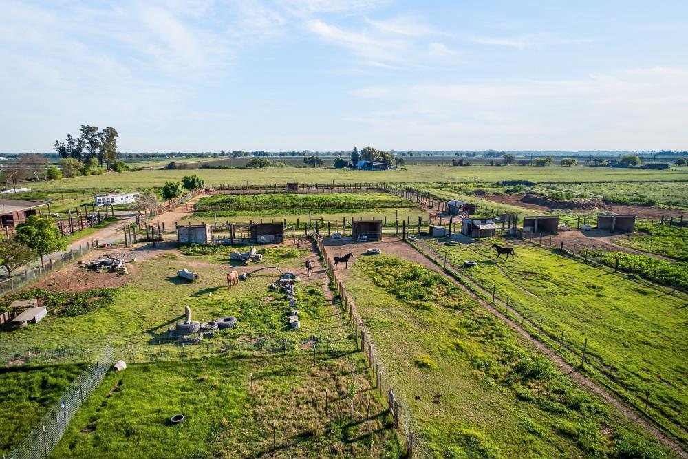 13512 Alta Mesa Road Galt, CA 95632 - Photo 91 of 99