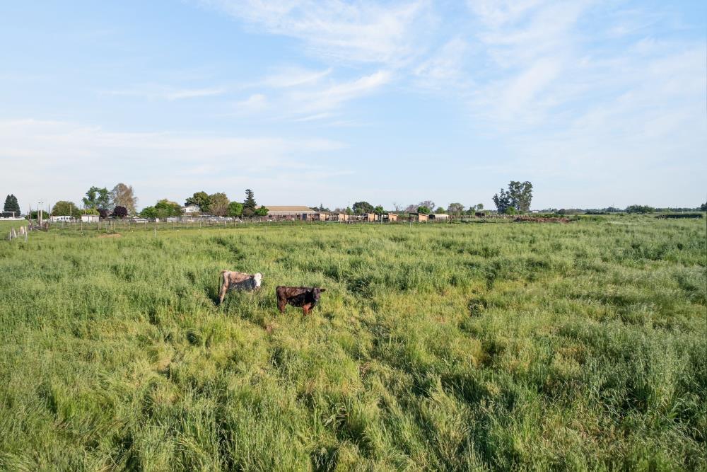 13512 Alta Mesa Road Galt, CA 95632 - Photo 92 of 99