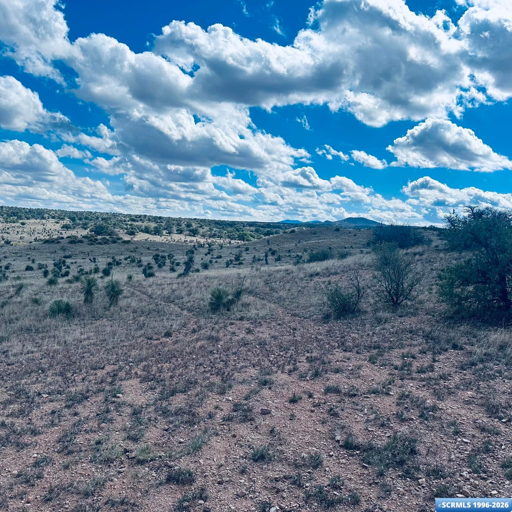 250 Salars Road Silver City, NM 88061 - Photo 19 of 48 Gallery Image 19