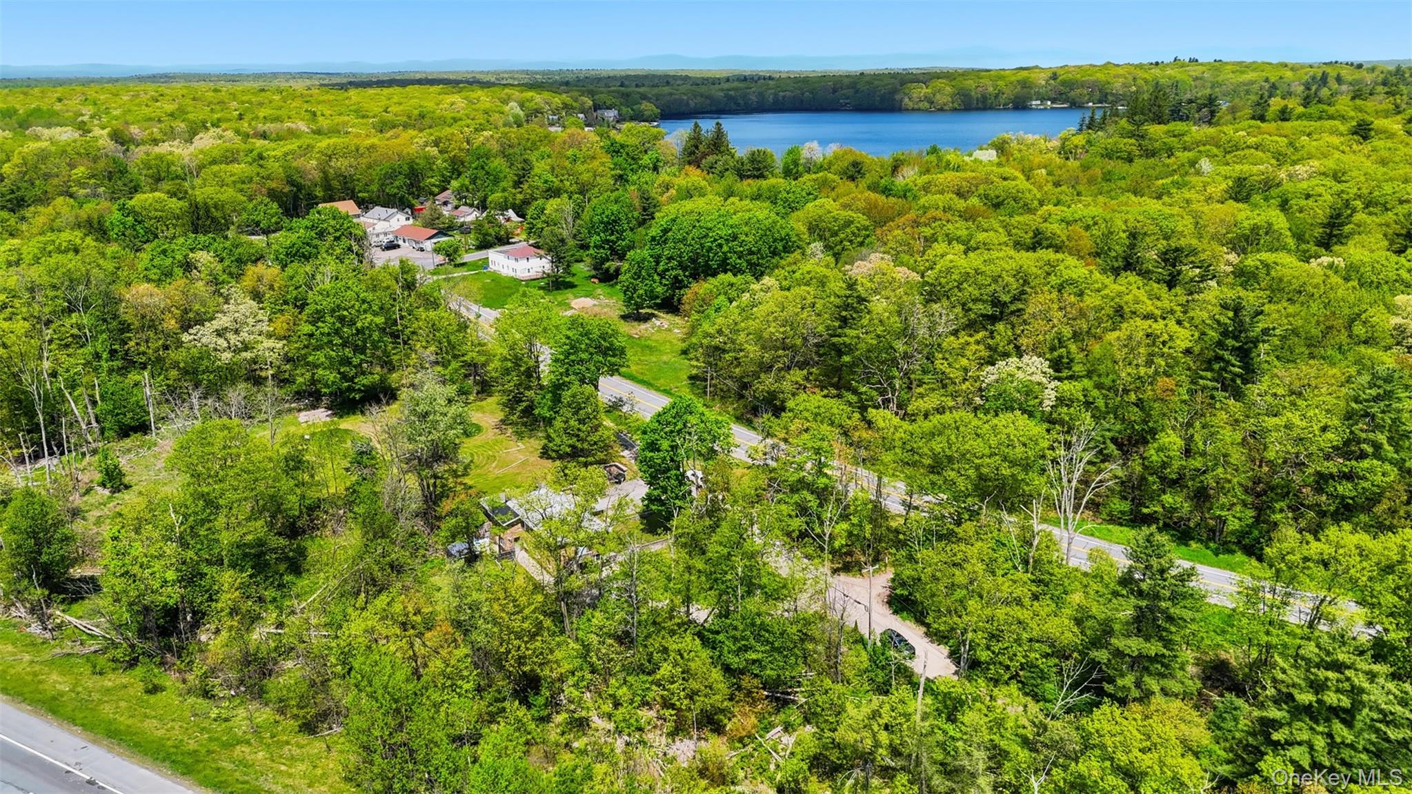 6 Short Road Wurtsboro, NY 12790 - Photo 9 of 48 a view of a green field with lots of bushes