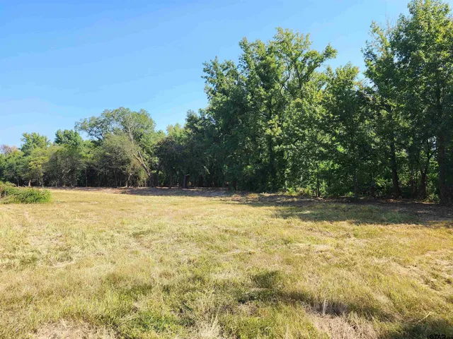 a view of a yard with trees